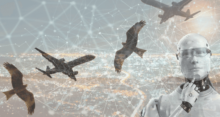 AI vs. ML: What Can Distinguish a Bird from a Plane?